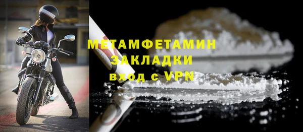 прущие грибы Горно-Алтайск