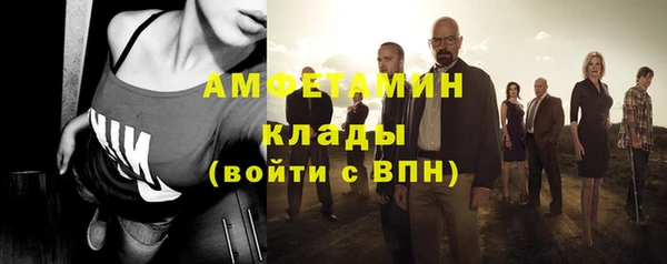 прущие грибы Горно-Алтайск