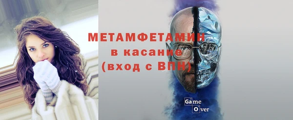 прущие грибы Горно-Алтайск