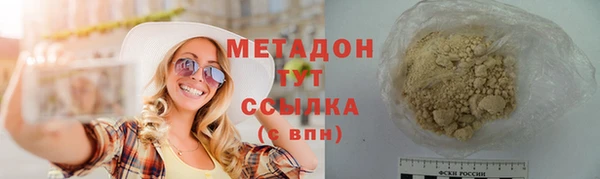 прущие грибы Горно-Алтайск