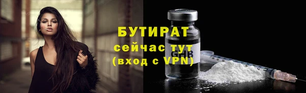 прущие грибы Горно-Алтайск