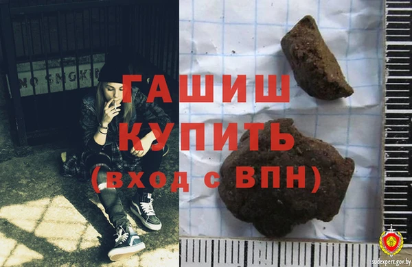 прущие грибы Горно-Алтайск