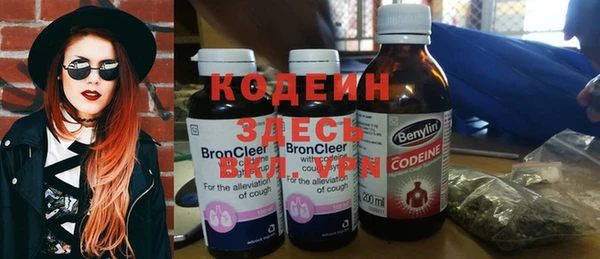 прущие грибы Горно-Алтайск