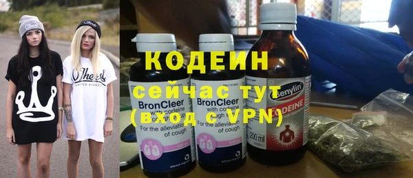 прущие грибы Горно-Алтайск