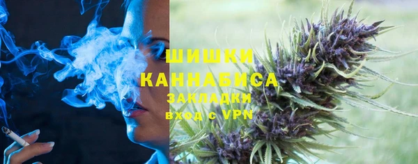 прущие грибы Горно-Алтайск