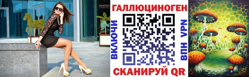 Купить закладки  Ессентуки  Псилоцибиновые грибы Magic Shrooms 