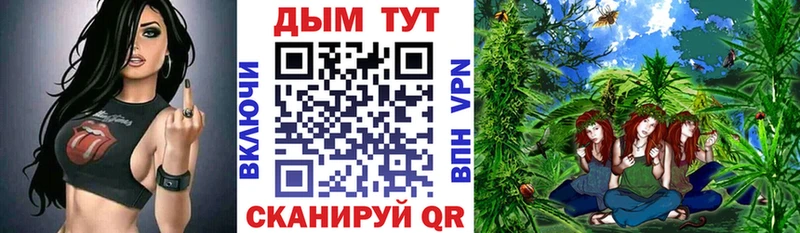 Купить закладки  Ессентуки  МАРИХУАНА SATIVA & INDICA 